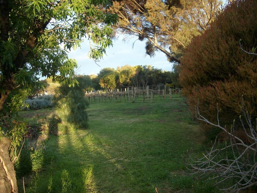 Southern Vales Bed & Breakfast Bed & Breakfast Mclaren Vale Bagian luar foto