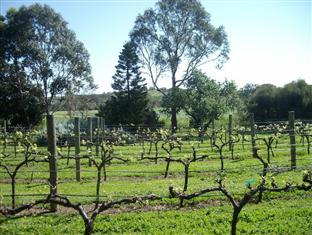 Southern Vales Bed & Breakfast Bed & Breakfast Mclaren Vale Bagian luar foto